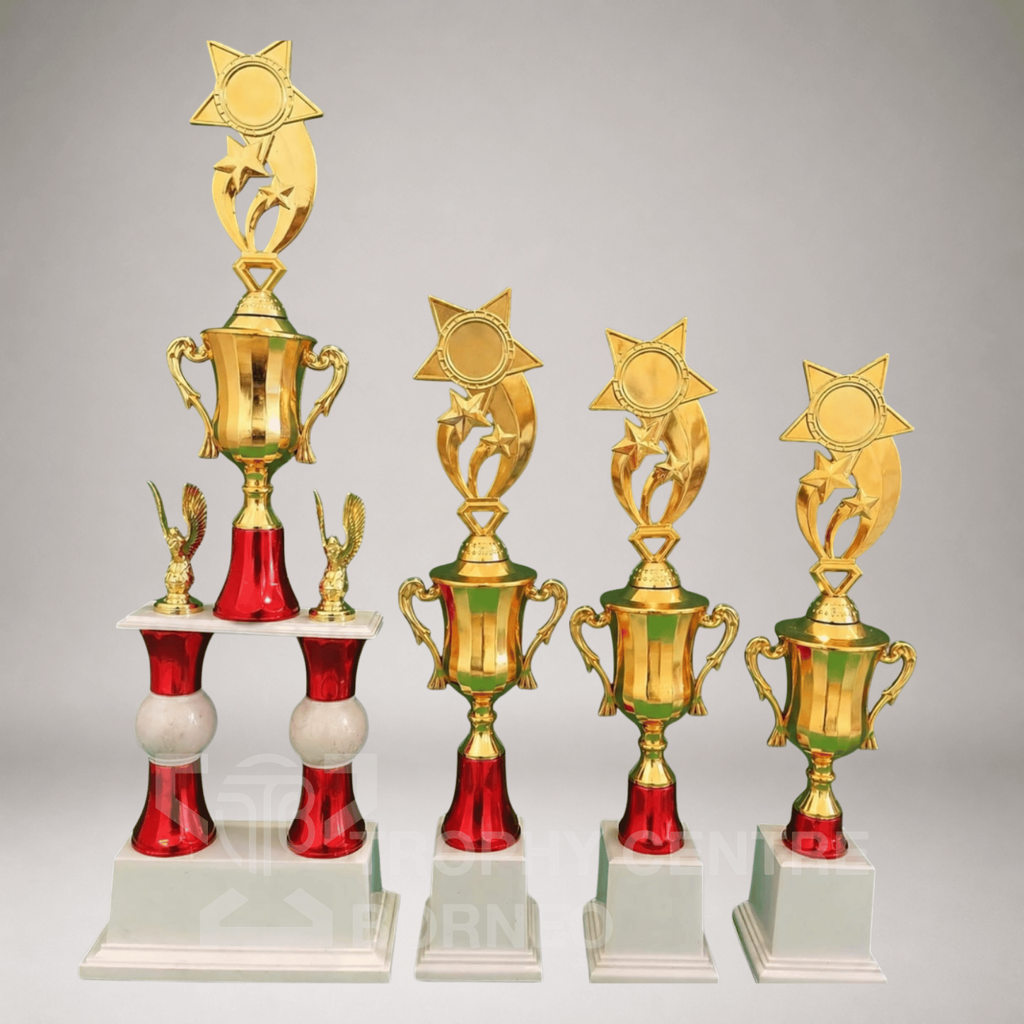 Trophy Series 169