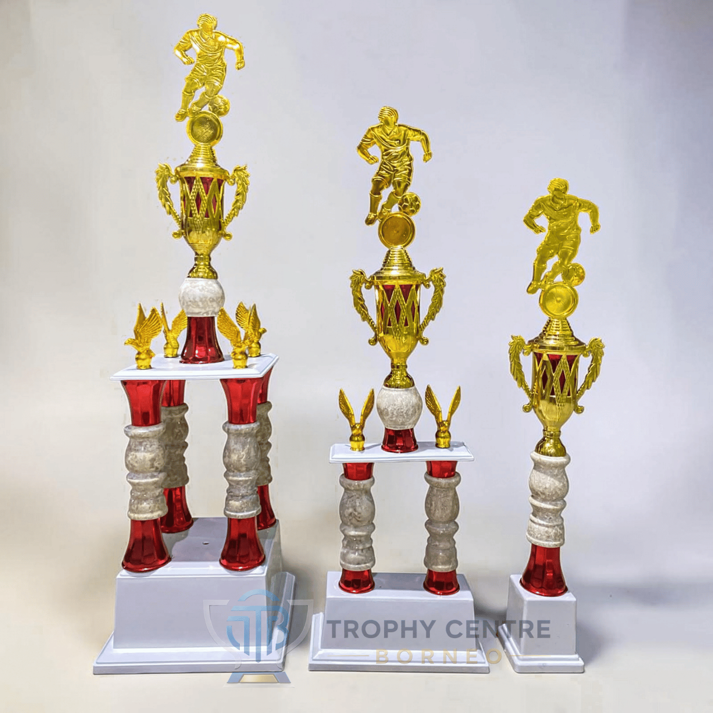 Trophy Series 173
