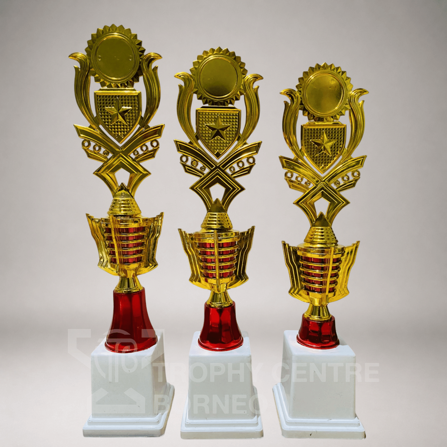 Trophy Series 79